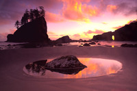 Second beach - Olympic National Park