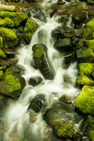 Stream of Moss