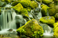 Sol Duc Stream 1